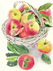 Watercolor pencil and watercolor illustration depicting red ripe apples in a yellow wicker basket, and some apples next to it (This illustration was drawn by hand without the use of generative AI!)