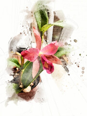 Cattleya Orchid Watercolor - obrazy, fototapety, plakaty