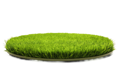 Green Grass Surrounds Serene Circular Surface on a White or Clear Surface PNG Transparent Background