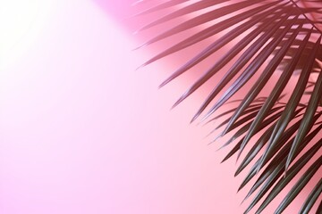 Fototapeta premium Blurred shadow from palm leaves on the pink wall. Minimal abstract background for product presentation