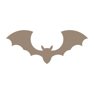 icon vector bat template design trendy