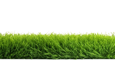 Grassland Beauty Natures Textured Surface on a White or Clear Surface PNG Transparent Background