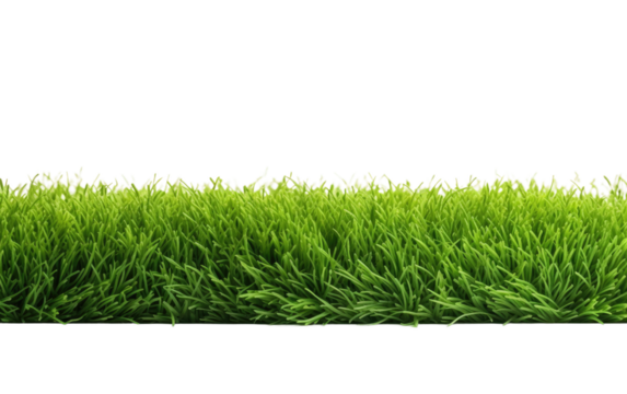 Grassland Beauty Natures Textured Surface on a White or Clear Surface PNG Transparent Background