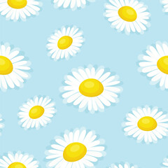 White daisy on blue background. Floral seamless pattern. Vector cartoon flat illustration of beautiful flowers.