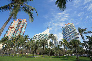 South Pointe Park in Miami South Beach with blue sky and view of skyline