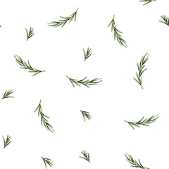Watercolor seamless pattern with rosemary sprigs on white background. For use in design, textile, wallpaper, wrapping