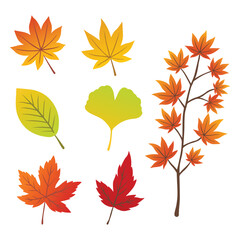 Obraz premium Autumn falling leaves set. Forest maple leaf in September season, flying orange foliage from a tree on a white background, isolated template vector illustration of fall autumn.
