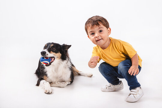 cheerful child looking at camera next to a border collie dog holding a ball in his mouth