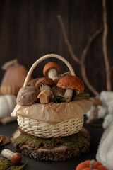 Autumn still life with a photo of mushrooms and pumpkins
