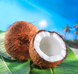 Kokosnuss, Raspel, tropisch, Südsee, Kokosmilch, 