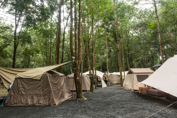 Tent setting activities.The brown tents in the forest.