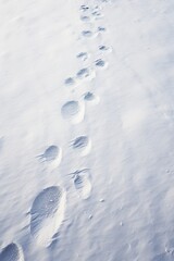 Image of faded footprints in the snow leading away, symbolizing loneliness and the journey through depression