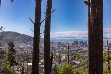 View of Cape Town city centre and Table Bay from a park on the foot of Table Mountain.