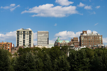 Brooklyn Heights Skyline with Green Trees in New York City during Summer