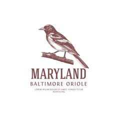 Maryland State Bird Logo Baltimore Oriole