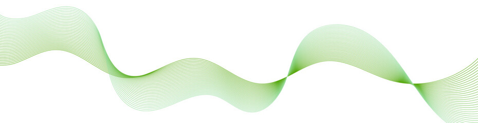 Fototapeta premium Abstract background with waves for banner. Web banner size. Vector background with lines. Element for design isolated on white. Green, eco, nature. Holiday, spring