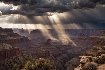 Zelfklevend Fotobehang grand canyon national park © memoona
