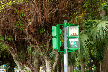 Taiwan, Taipei, unique, pedestrian signal lights, little green men, traffic lights