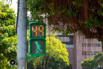Taiwan, Taipei, unique, pedestrian signal lights, little green men, traffic lights