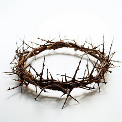 A Crown of Thorns Isolated on a White Surface