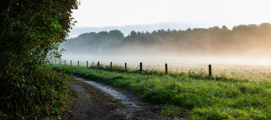 Early morning Cotswolds light