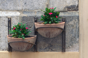 Close-up view two small flower?s pots with nice blooming flowers. Decoration of stone wall of residential house. Traditional Sicilian street with residential house in Cefalu. Nature concept