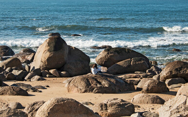 Rocky beach on the Portuguese coast - 692620625