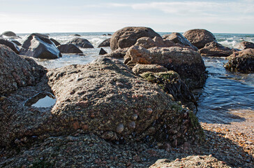 Rocky beach on the Portuguese coast - 692620649
