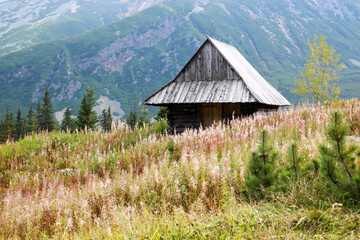 Wooden hut among the mountains
