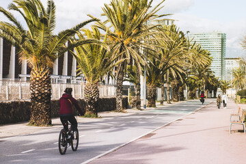 Young girl on bike rides on the bike path, on the background of palm trees and large houses, the...