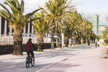 Fotobehang Young girl on bike rides on the bike path, on the background of palm trees and large houses, the concept of active recreation and sports © Bogdan