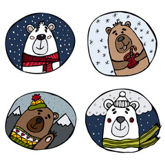 White and brown bear