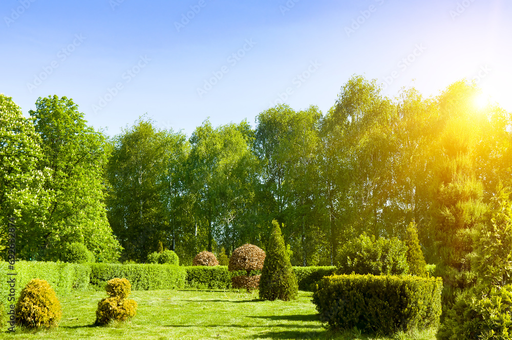 Wall mural beautiful garden with flowering trees and shrubs and a lawn.