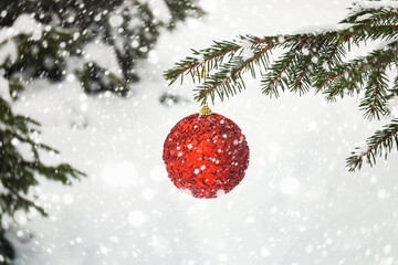 Fototapeta na wymiar Red christmas ball hanging on fir tree branch in snow winter forest.