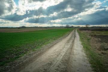 Fototapeta na wymiar Sandy rural road next to green farmland and clouds on the sky, April day