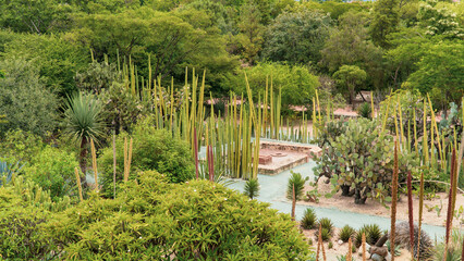 Patio con plantas