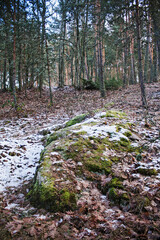 Winter landscape of mountain and forest - 692642210