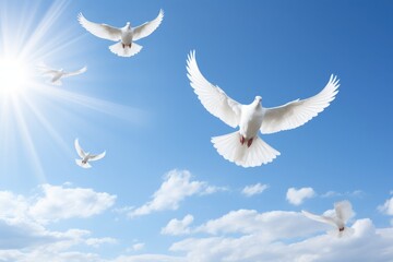 Obraz premium white doves flying in blue sky