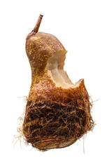 Taro-Birne Compositing