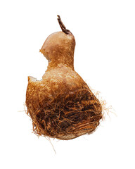 Taro-Birne Compositing