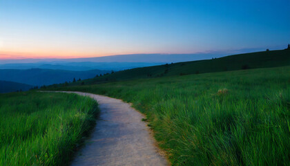 Fototapeta premium Picturesque winding path through a green grass field in at sunset