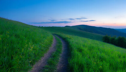 Picturesque winding path through a green grass field in at sunset