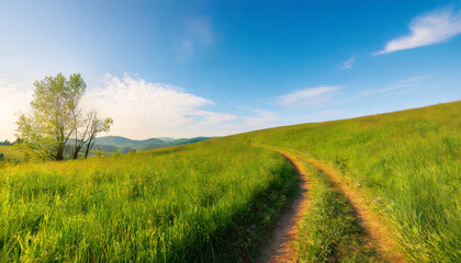 Picturesque winding path through a green grass field in hilly area in morning at dawn