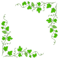 Ornamental frame with branches of green grapes. Vine pattern. Decoration and design for card, invitation, brochure. Vector art illustration on white background