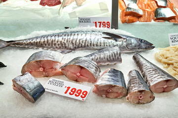 Sydney. New South Wales. Australia. The Fish Market. Fresh mackerel