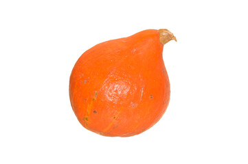 pumpkin isolated on white background