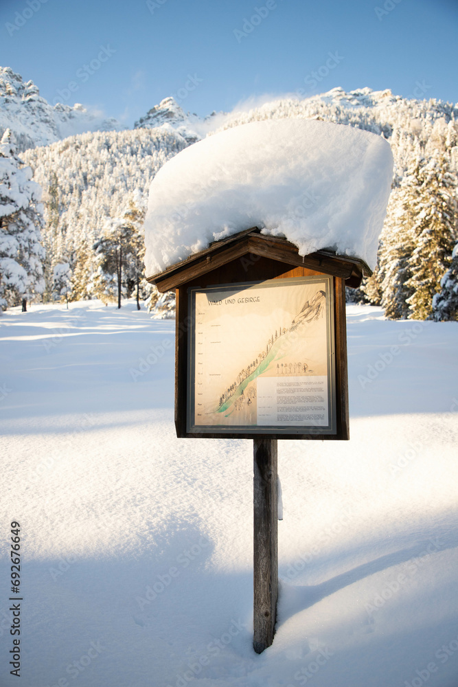 Wall mural winter mountain landscape in the alps with snow covered fir trees