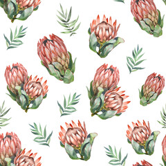 Hand drawn watercolor proteas and herbs pattern