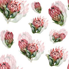 Hand drawn watercolor proteas pattern