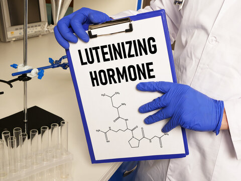 Luteinizing hormone LH is shown using the text